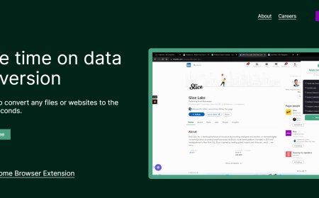 Datatera: Transforme Diferentes Formatos de Dados ou Websites em Formulários Estruturados para Análise e Poupe Tempo