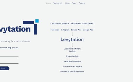 Levytation - Otimiza Consultoria de IA + Dados para Pequenas Empresas